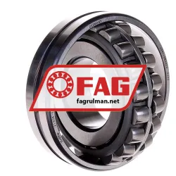 FAG 21309-E1 rulman resim 2