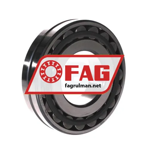FAG 21313-E1