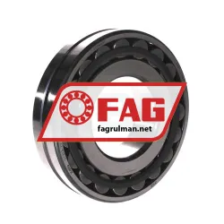 FAG 21313-E1