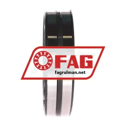 FAG 21313-E1 rulman resim 3