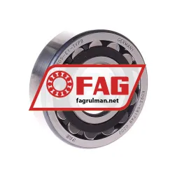 FAG 21305-E1-TVPB
