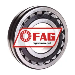 FAG 21314E1K-TVPB
