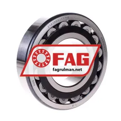 FAG 21313EK-TVPB
