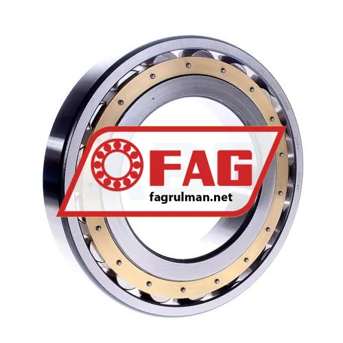FAG 20226MB