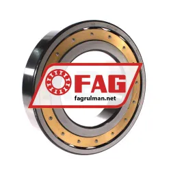 FAG 20221MB