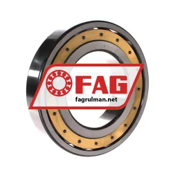 FAG 20221MB rulman resim 2