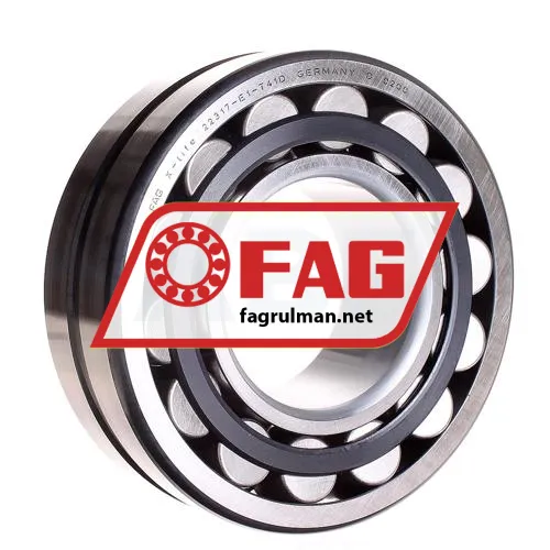 FAG 22317-E1-T41D