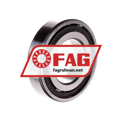 FAG 20209T
