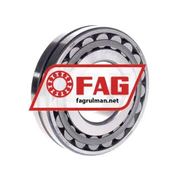 FAG 21313-E1-C4