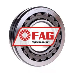 FAG 21317-E1