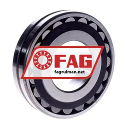 FAG 21313E1K-TVPB