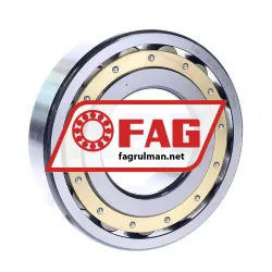 FAG 20314MB
