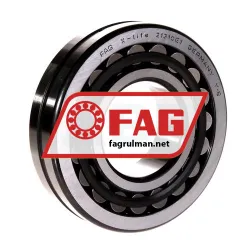 FAG 21310E1