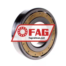 FAG 20317MB