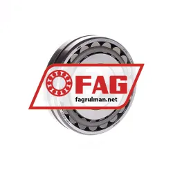 FAG 21309E1K-C3