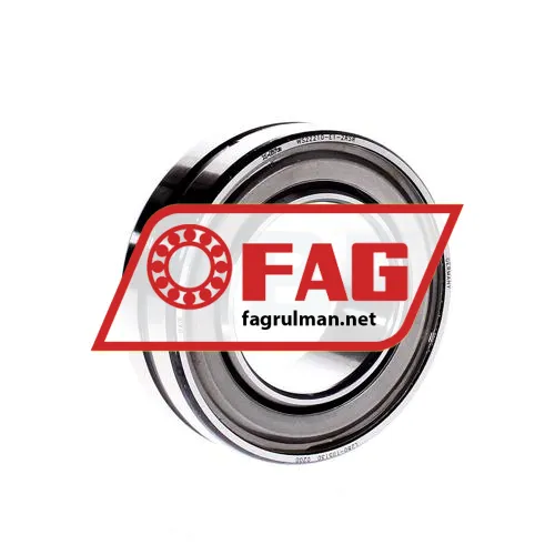 FAG WS22210-E1-2RSR