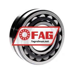 FAG 22313-E1-T41A
