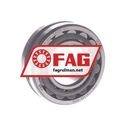 FAG 22205-E1