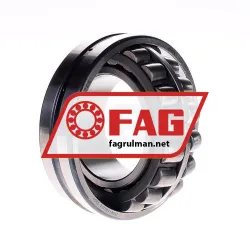 FAG 20315MB