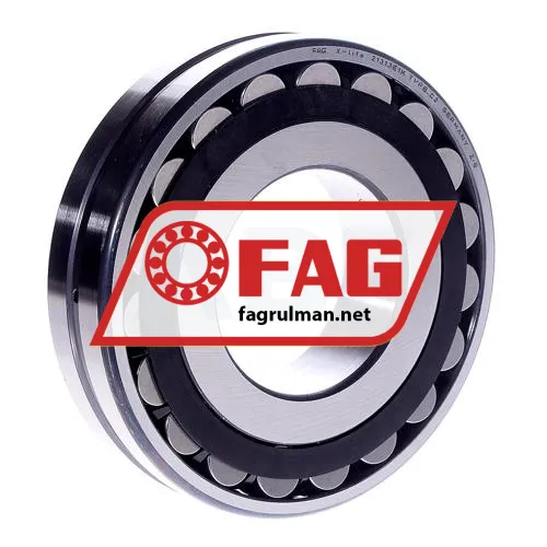 FAG 21313E1K-TVPB-C3