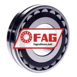 FAG 21313E1K-TVPB-C3
