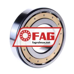 FAG 20313MB-C3