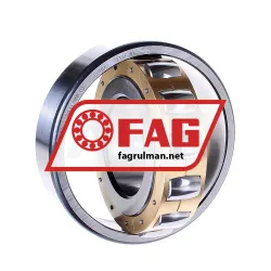 FAG 20313MB-C3 rulman resim 2
