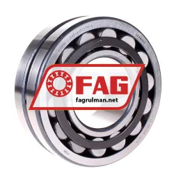 FAG 22314-E1-T41A
