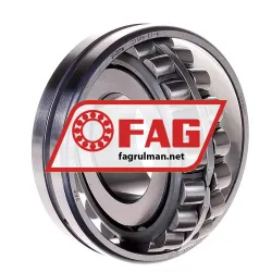 FAG 21309-E1-K rulman resim 2