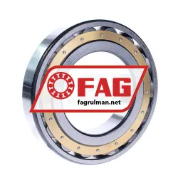 FAG 20219MB