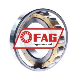 FAG 20219MB rulman resim 2
