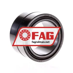 FAG NA6910A-C3