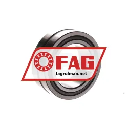 FAG NA4908 rulman resim 2