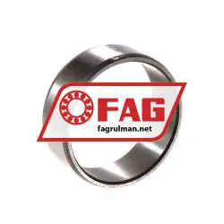 FAG IR25X30X18