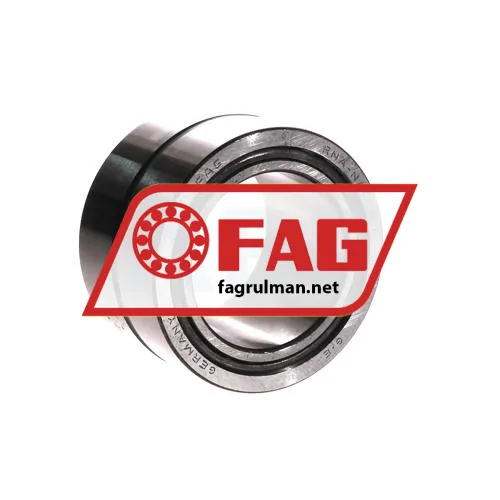 FAG NA6909A