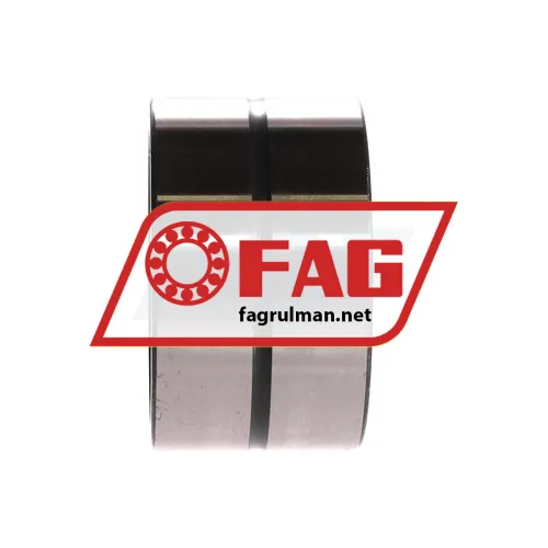 FAG NA6909A ürün fotoğrafı 2