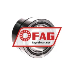 FAG NA6909A