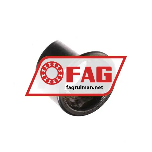 FAG HK2522RS