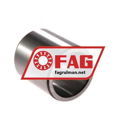 FAG IR22X28X30