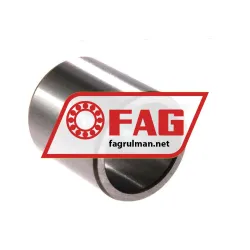 FAG IR22X28X30
