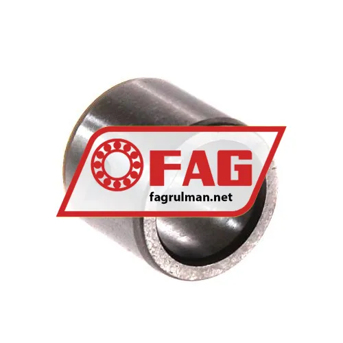 FAG IR10X14X12