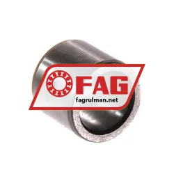 FAG IR10X14X12