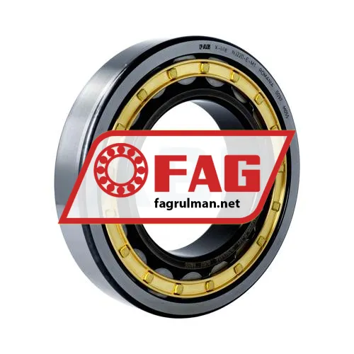 FAG NJ220-E-M1