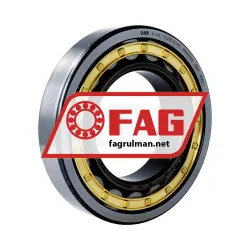 FAG NJ220-E-M1