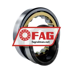 FAG NJ220-E-M1 rulman resim 3