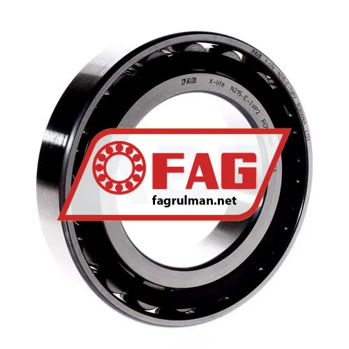 FAG N215-E-TVP2