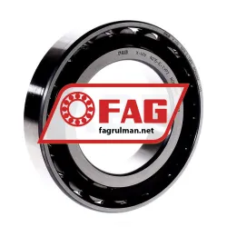 FAG N215-E-TVP2