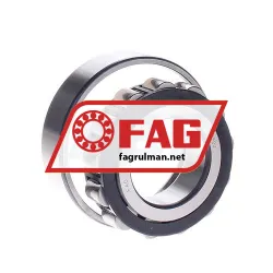 FAG N206E-TVP2 rulman resim 2