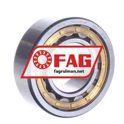 FAG NU2206E-M1