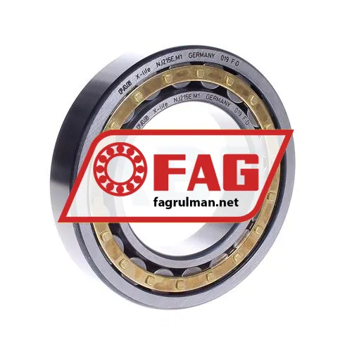 FAG NJ215E-M1